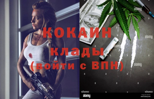 Альфа ПВП Верея
